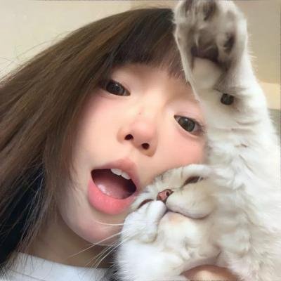 大象与小蝶物语